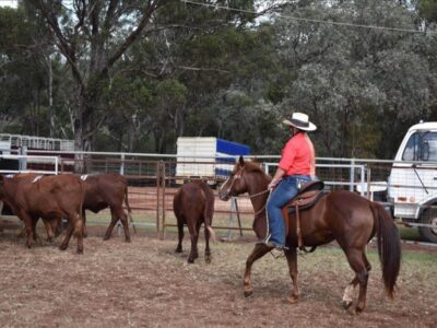 Free Hearts - Proston Ranch Sorting